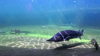 NaturaGart Newsletter 02. April 2026